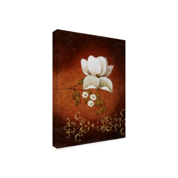 Pablo Esteban 'White Flower Shadows 1' Canvas Art,24x32